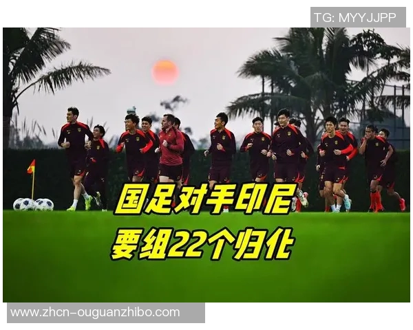 印尼足球最新排名分析及未来发展趋势探讨